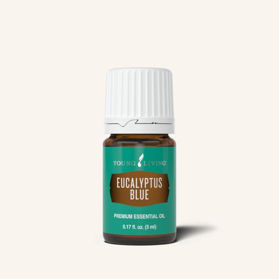 Young Living Eucalyptus Blue