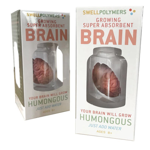 Copernicus Extra Large Swell Polymer Brain