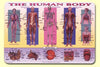 M. Ruskin Company Laminated Learning Placemats