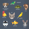 Wellspring - Activity Book - My Sticker Paintings: Pets