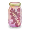 Modern Sprout - Herb Garden Jar: Mint