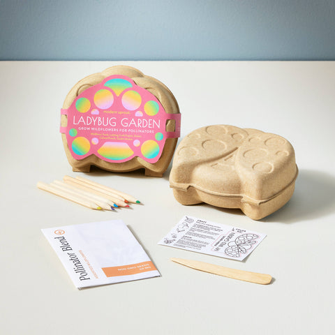 Modern Sprout - Curious Critters Activity Kit: Ladybug