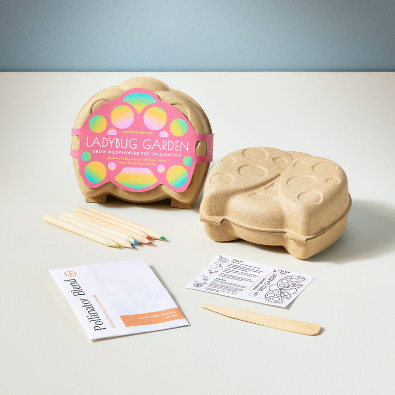 Modern Sprout - Curious Critters Activity Kit: Ladybug