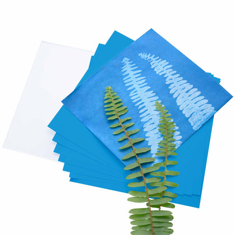 Heebie Jeebies Herschel Solar Print 4"