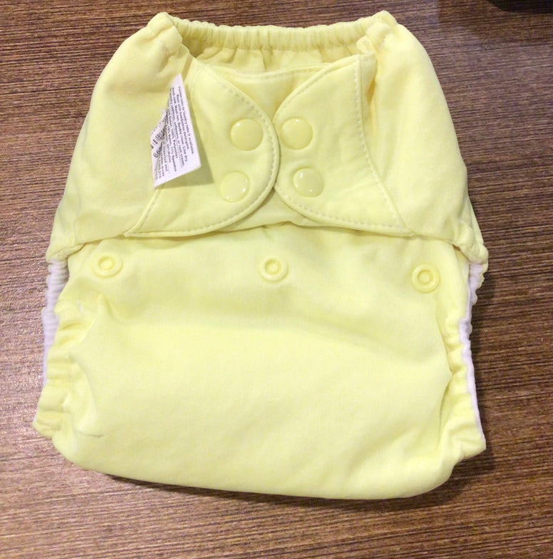 GENTLY USED Bumgenius Freetime All in One Cloth Diaper