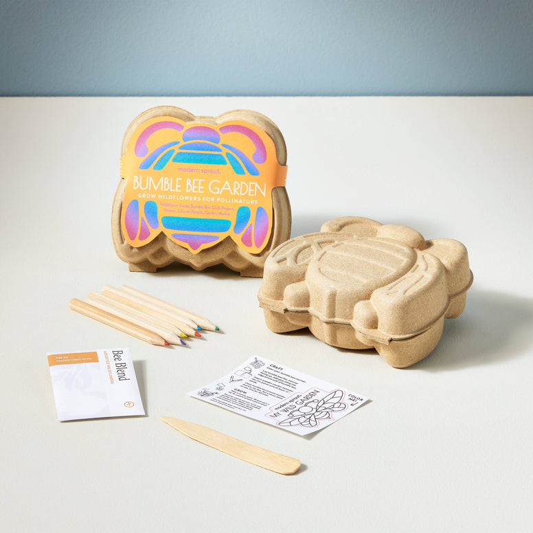 Modern Sprout - Curious Critters Activity Kit: Bee
