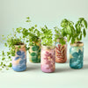 Modern Sprout - Herb Garden Jar: Mint
