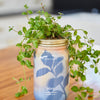 Modern Sprout - Herb Garden Jar: Mint