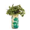 Modern Sprout - Herb Garden Jar: Mint