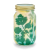 Modern Sprout - Herb Garden Jar: Mint