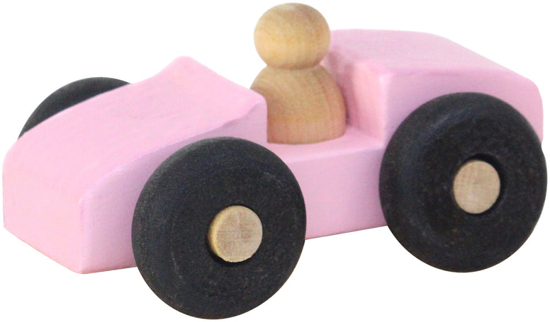 Maple Landmark Mites