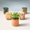 Modern Sprout - Tiny Terracotta Grow Kits: Thank You Daisy