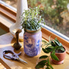 Modern Sprout - Herb Garden Jar: Lavender