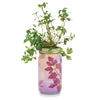 Modern Sprout - Herb Garden Jar: Basil