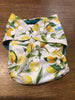 GENTLY USED Pocket Diapers