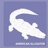 Wellspring - Activity Book - My Sticker Paintings: Reptiles
