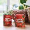 Modern Sprout - Holiday Complimentary Colors Grow Kits: Rockin' Around - Norway Spruce
