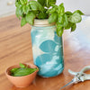 Modern Sprout - Herb Garden Jar: Lavender