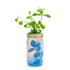 Modern Sprout - Herb Garden Jar: Basil