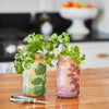Modern Sprout - Herb Garden Jar: Lavender