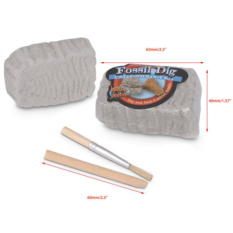 Heebie Jeebies Fossil Dig Paleo kit in Scientific Beaker