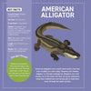 Wellspring - Activity Book - My Sticker Paintings: Reptiles