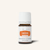 Young Living Tangerine