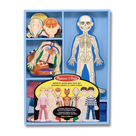 Melissa & Doug Magnetic Human Body