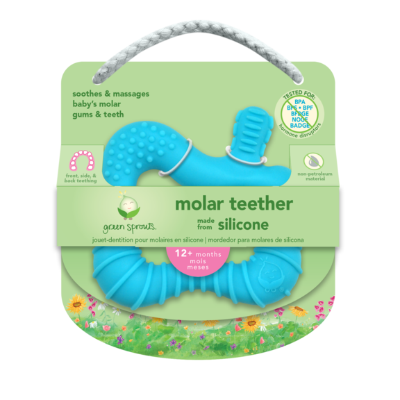 Green Sprouts Molar Teether