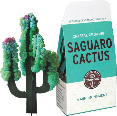 Copernicus Crystal Growing: Saguaro Cactus