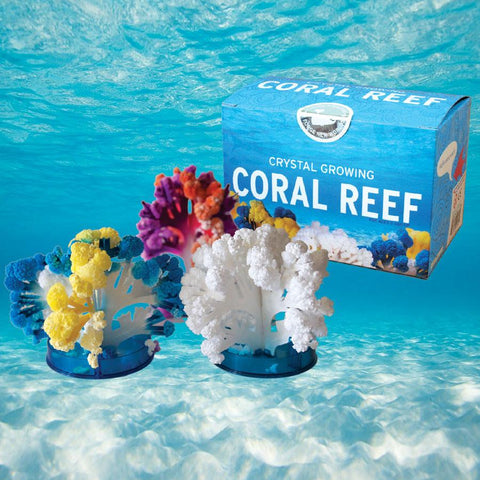 Copernicus Crystal Growing: Coral Reef