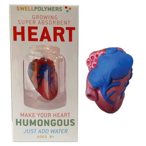 Copernicus Extra Large Swell Polymer Heart