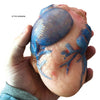 Copernicus Extra Large Swell Polymer Heart