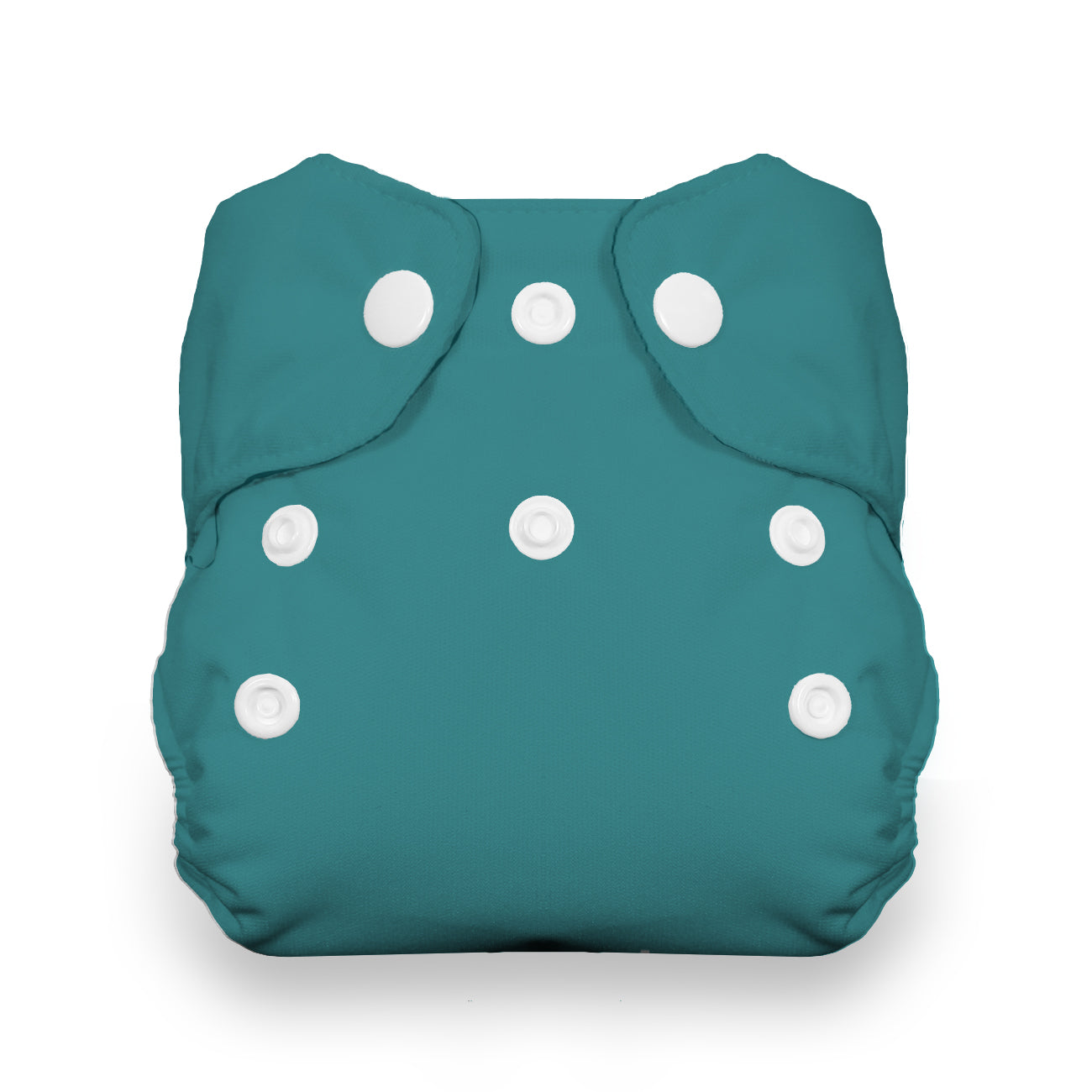 Thirsties Natural Newborn AIO Cloth Diaper SNAP – Mother Earth
