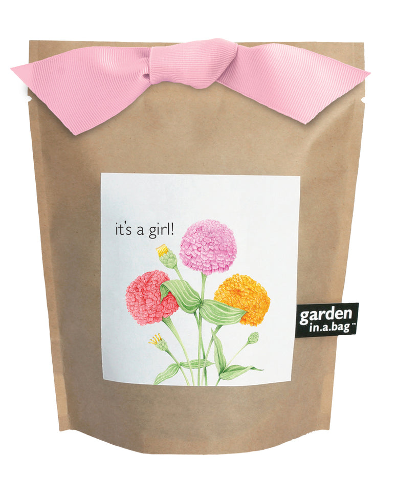 Potting Shed Creations, Ltd Garden-in-a-bag It's a Girl