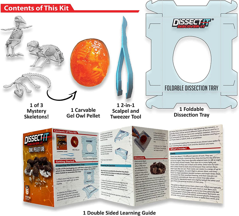 Dissect-It Discover-It Simulated Synthetic Owl Pellet Lab